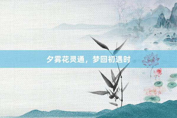 夕雾花灵通，梦回初遇时