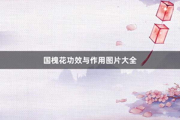 国槐花功效与作用图片大全